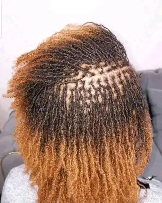 The Dreadlock Parlour
